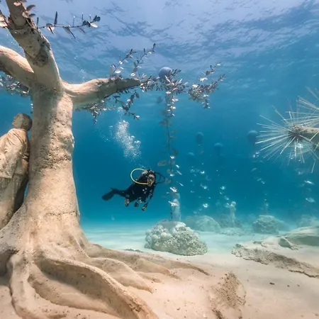 Napa Ocean Agia Napa